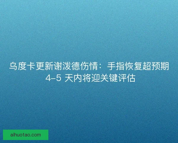 乌度卡更新谢泼德伤情：手指恢复超预期 4-5 天内将迎关键评估