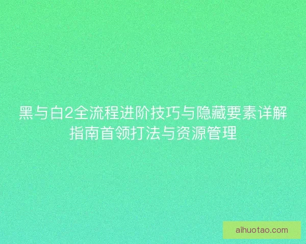 黑与白2全流程进阶技巧与隐藏要素详解指南首领打法与资源管理